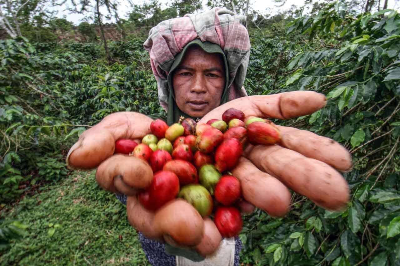 Permintaan Tinggi, Harga...