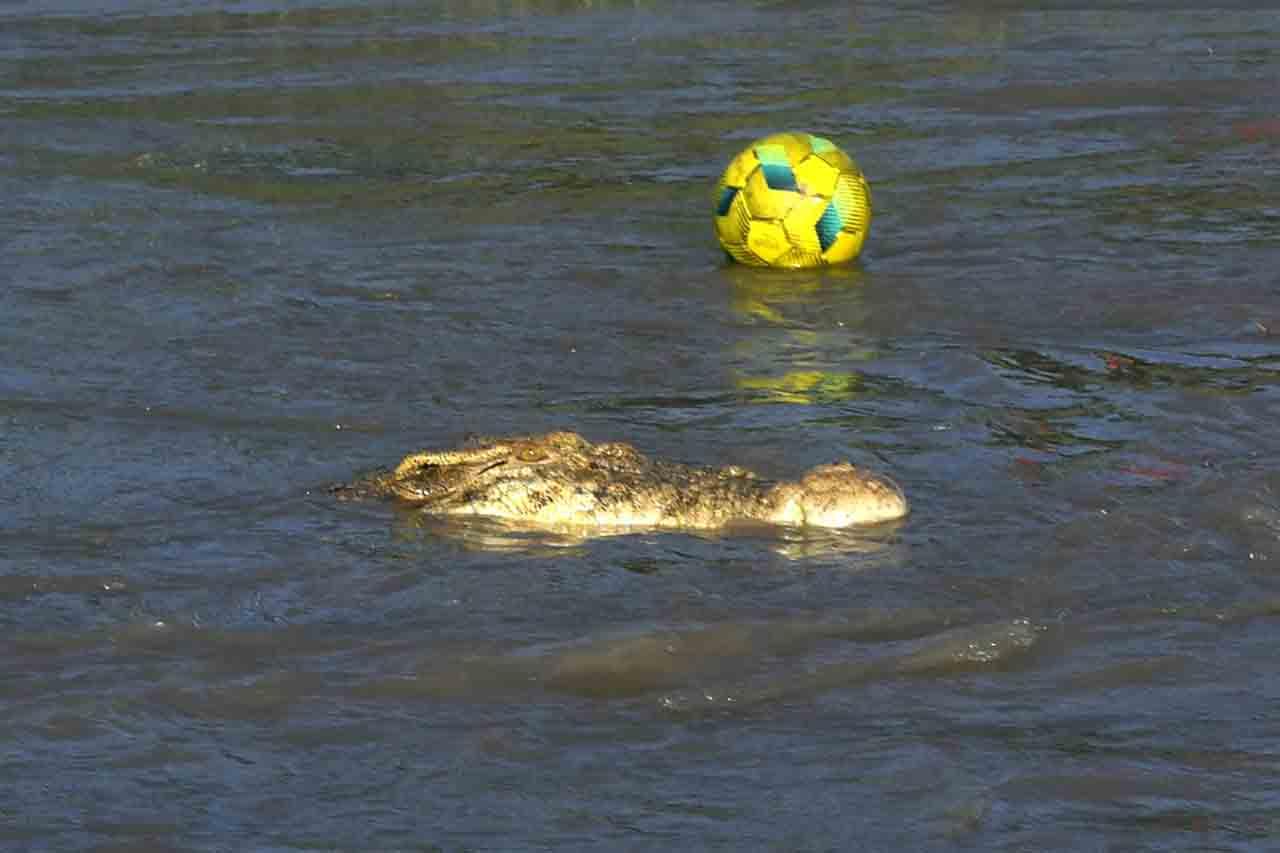 Bermain Sepakbola di...