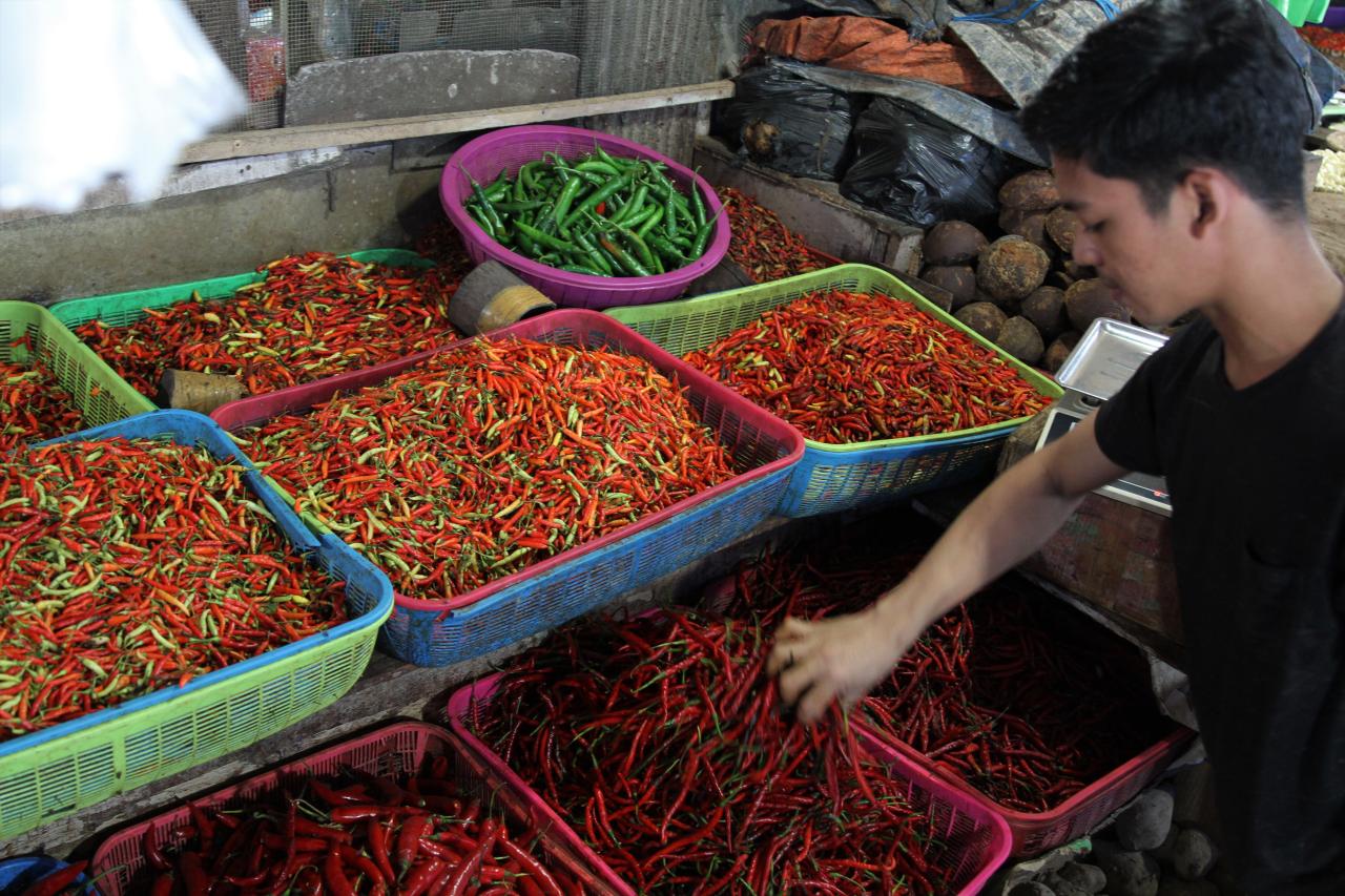 Pasokan Berkurang, Harga...