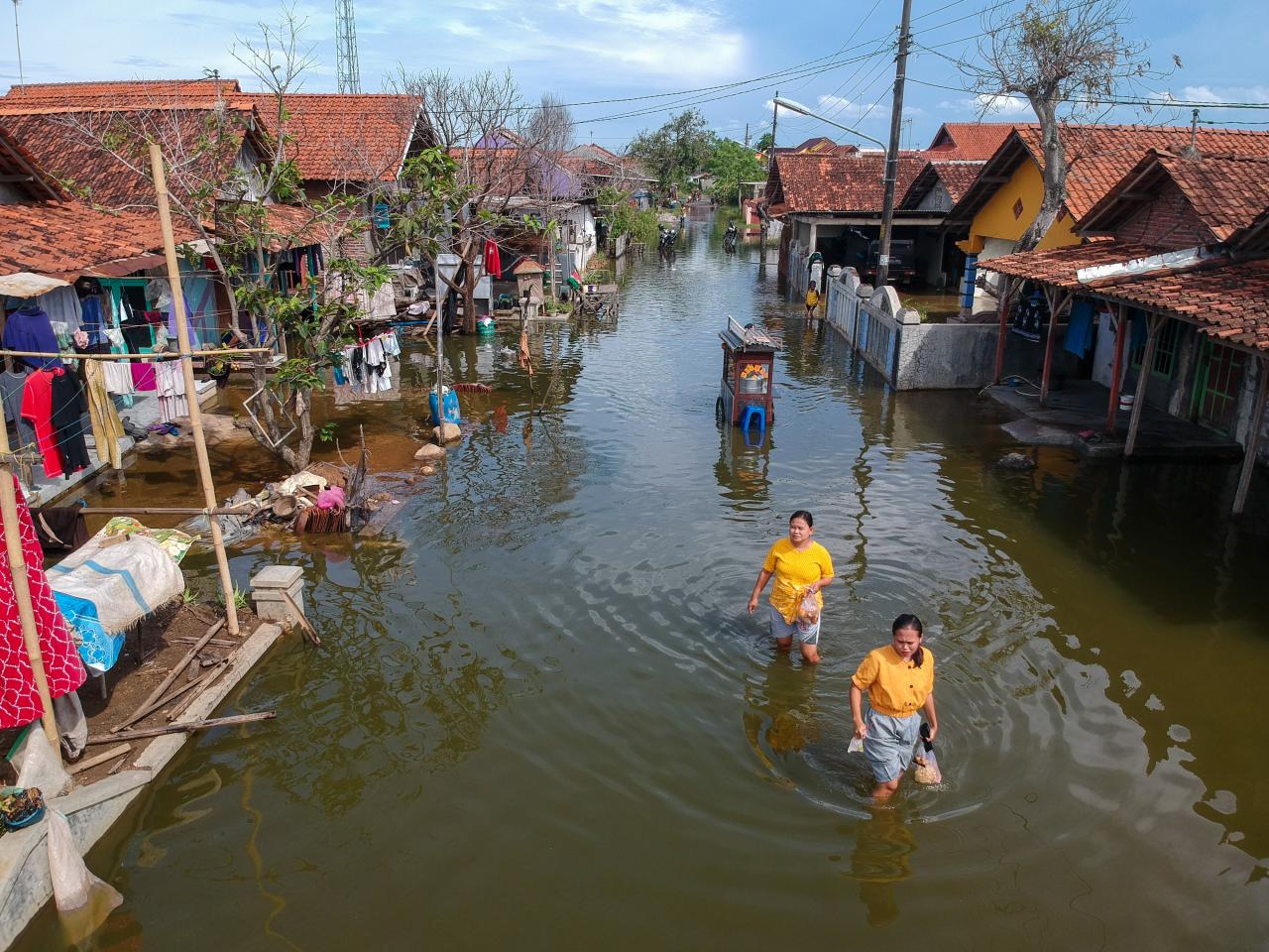 Banjir Rob Rendam Ratusan...