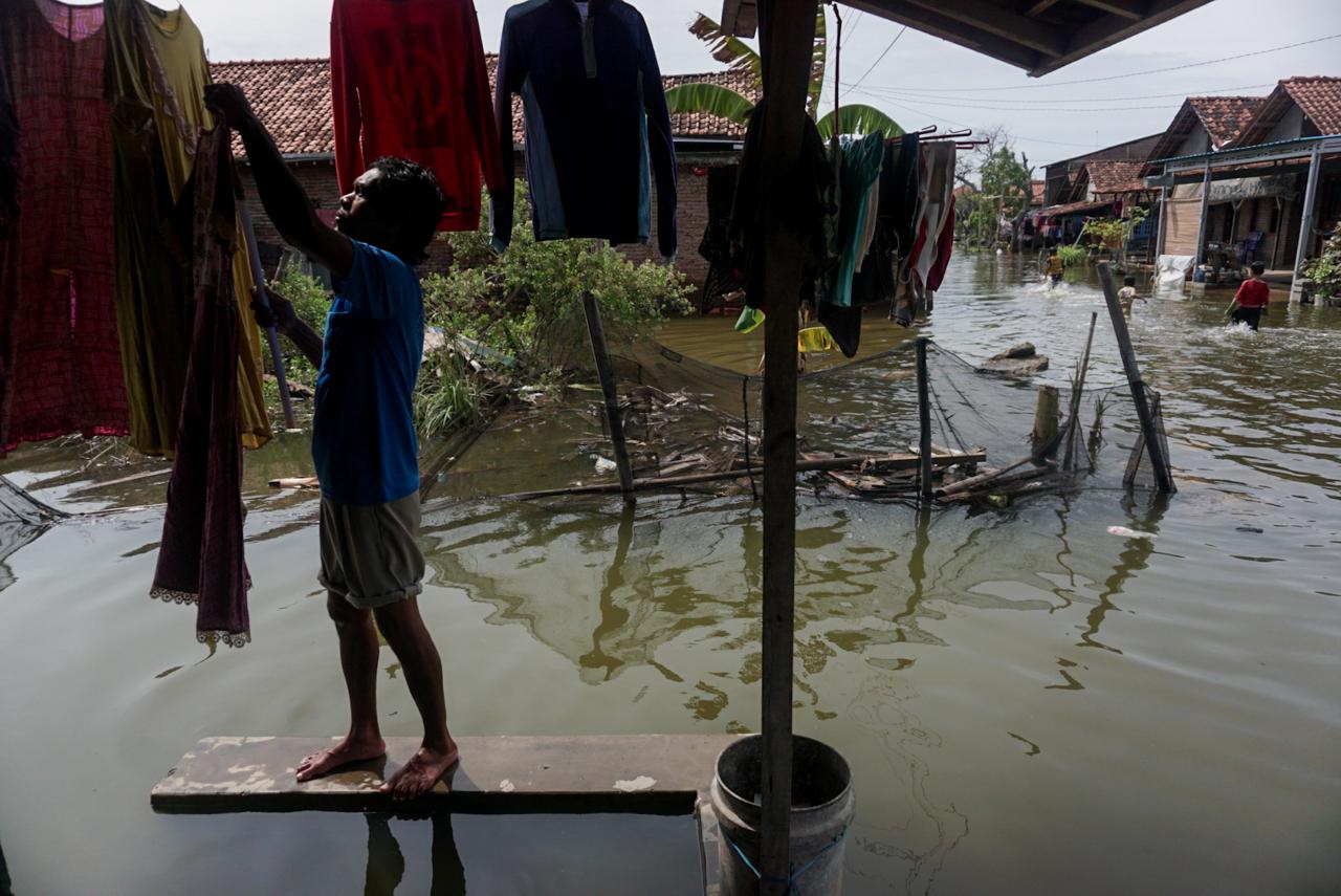 Banjir Rob Rendam Ratusan...