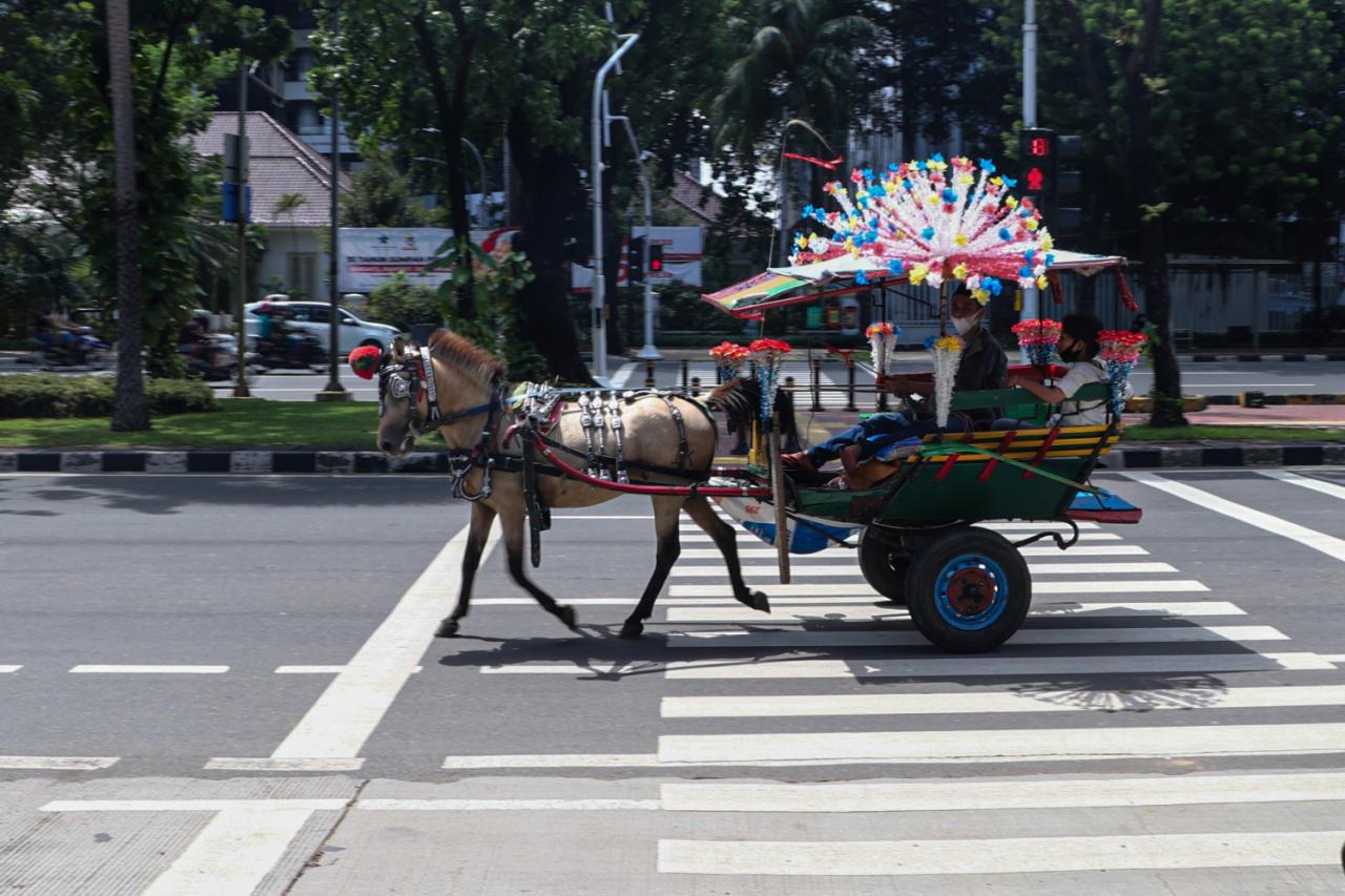 Wisata Delman Keliling...