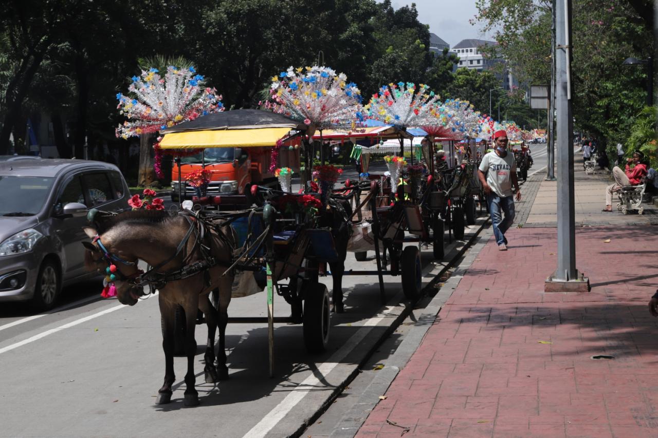 Wisata Delman Keliling...
