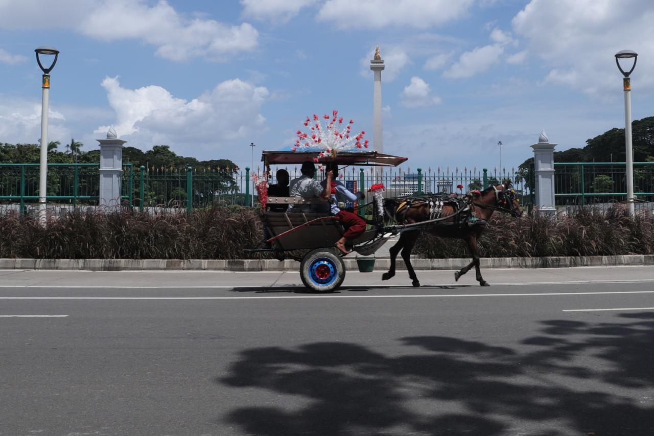 Wisata Delman Keliling...