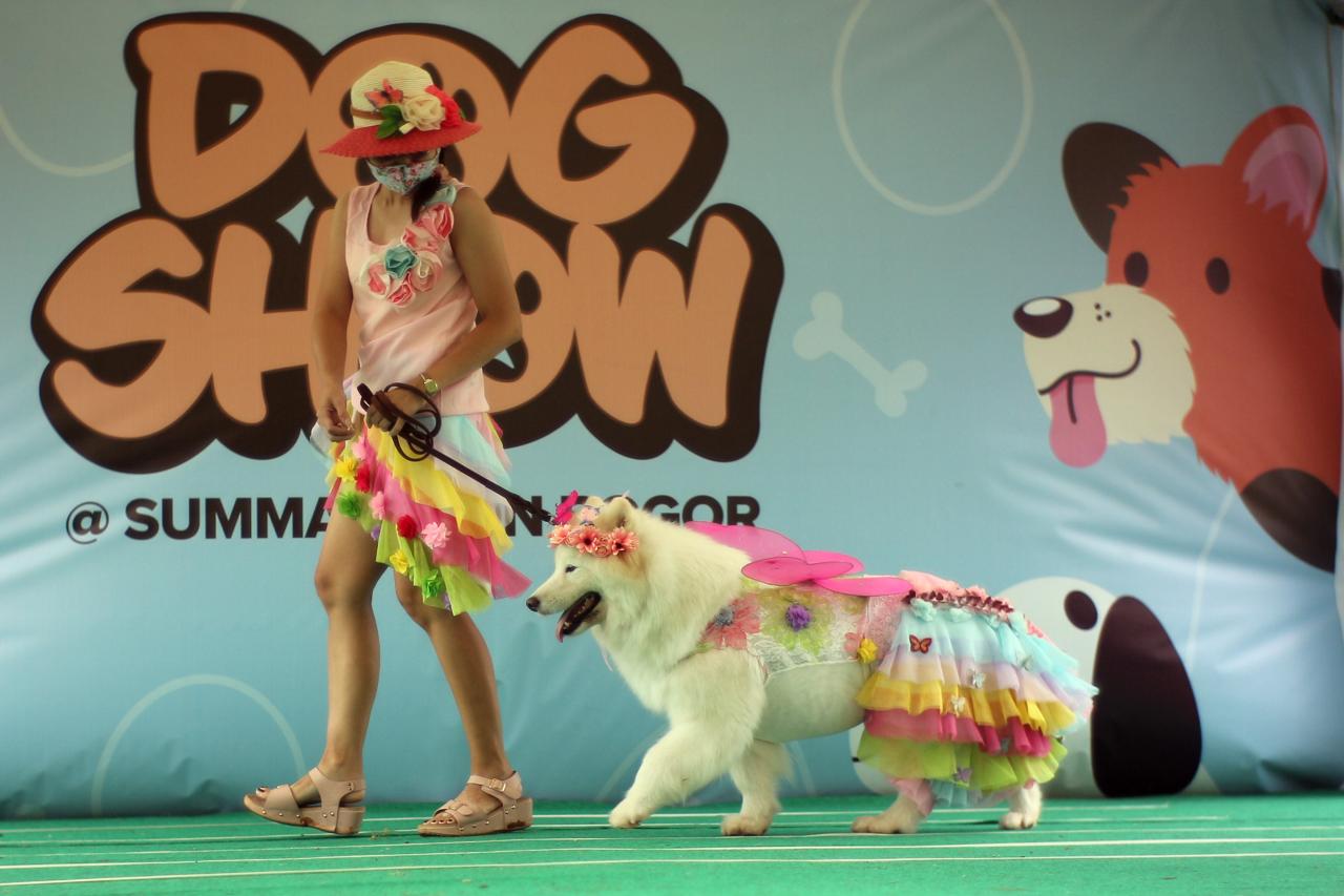 Lucunya Anjing Peliharaan...