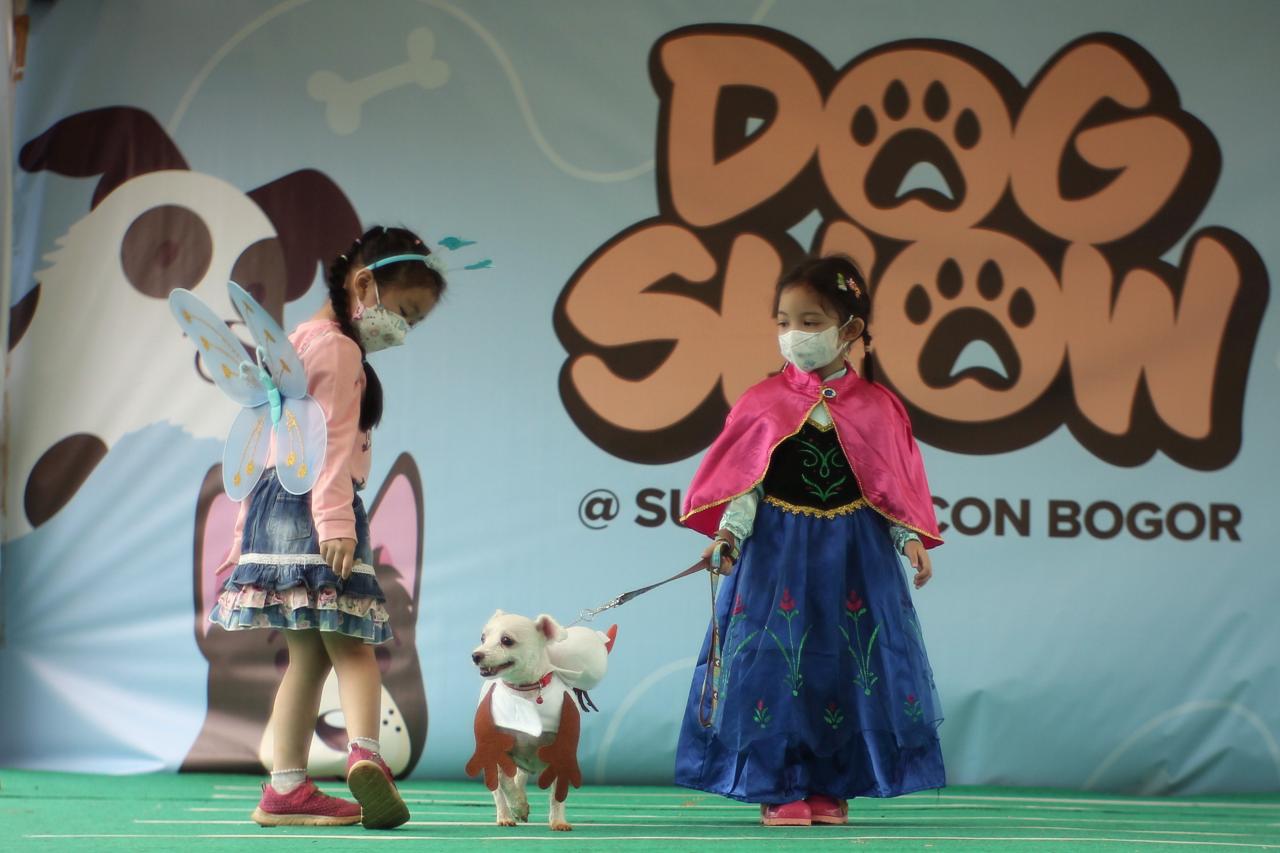 Lucunya Anjing Peliharaan...
