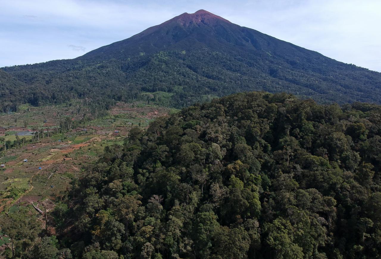 Potret Gundul Kawasan...