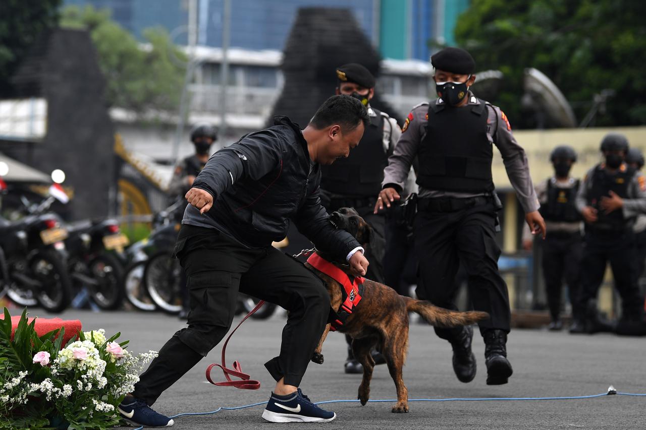 Aksi Tim Patroli Perintis...