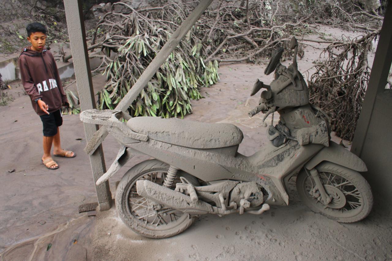 Dampak Letusan Semeru,...