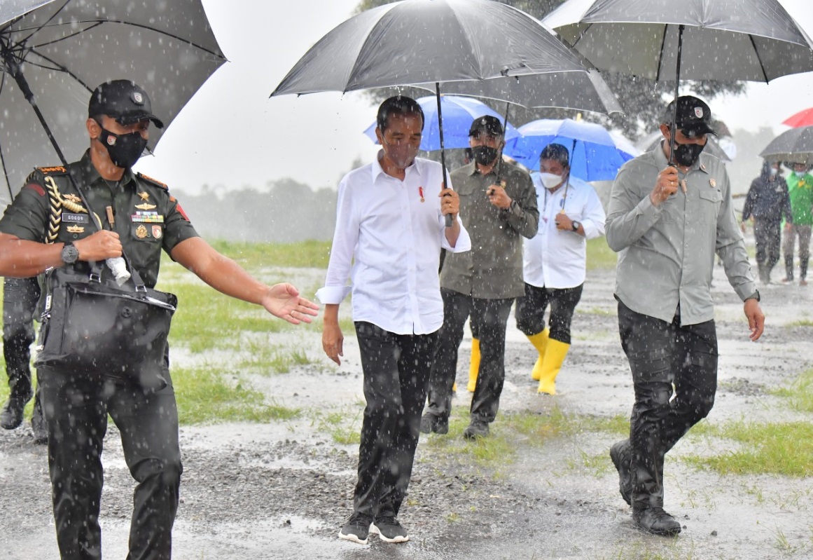 Jokowi Basah Kuyup Tanam...