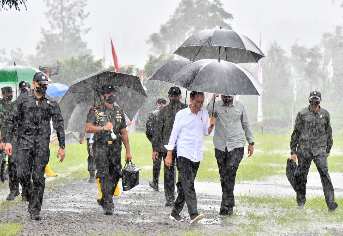 Jokowi Basah Kuyup Tanam...