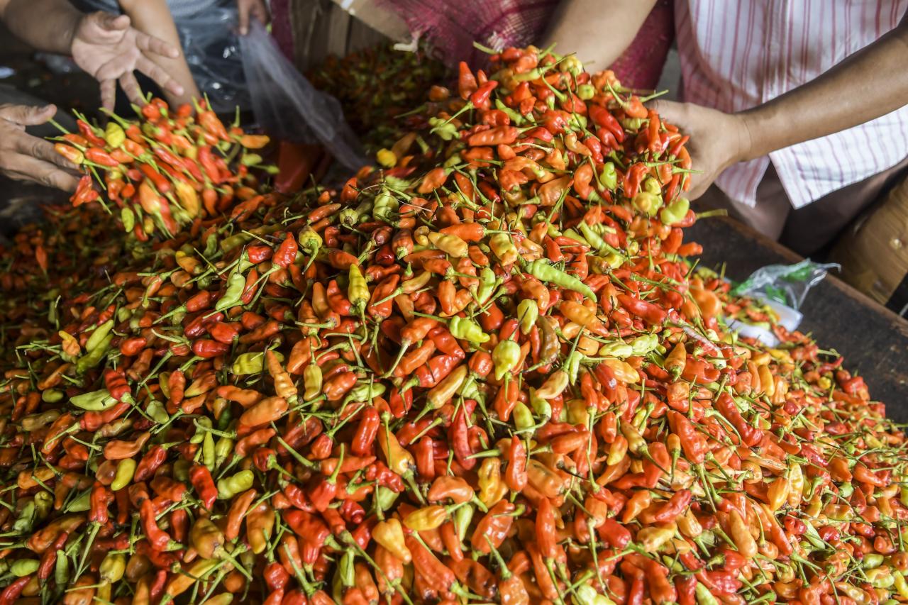 Harga Cabai Rawit di...