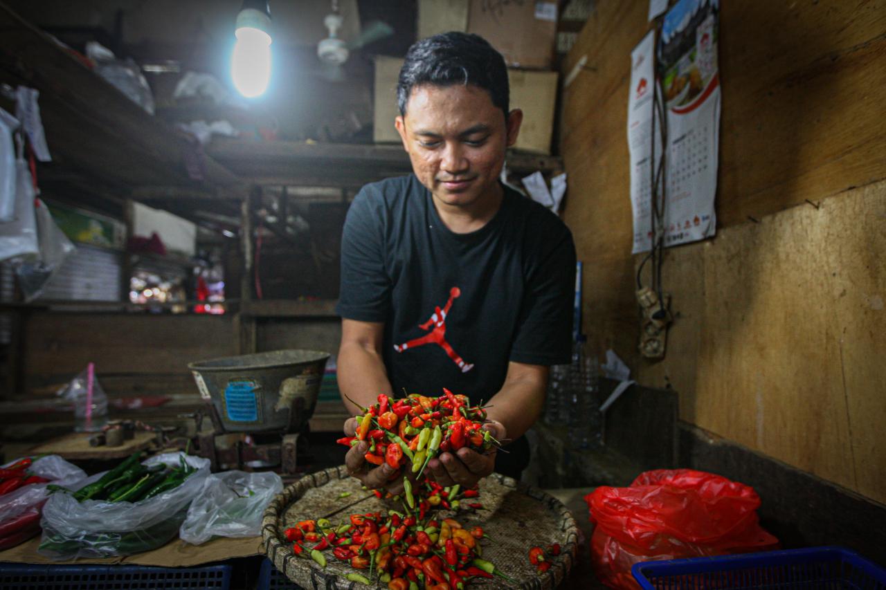 Harga Bahan Kebutuhan...