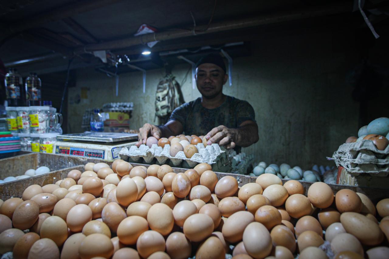 Harga Bahan Kebutuhan...