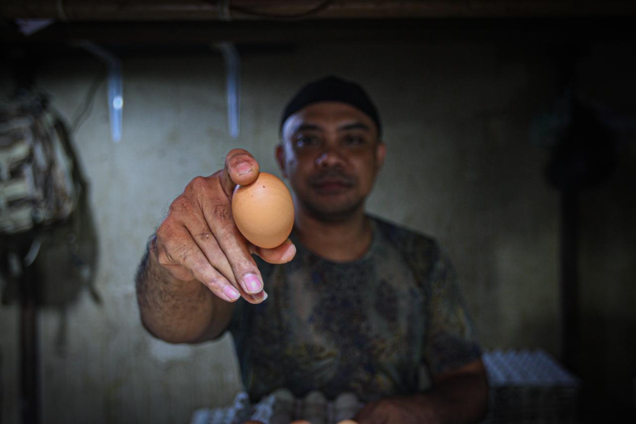 Harga Bahan Kebutuhan...