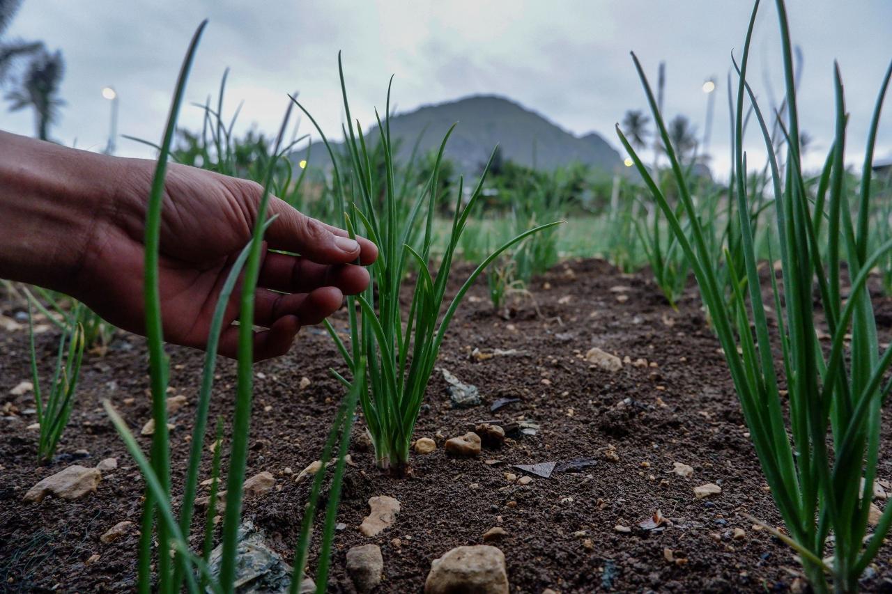 Electrifying Agriculture,...