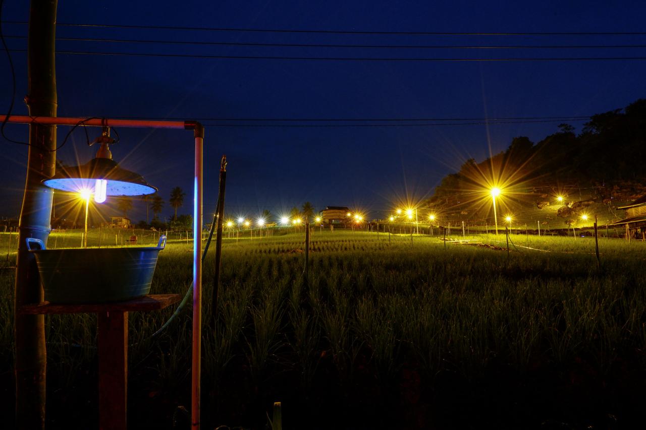 Electrifying Agriculture,...