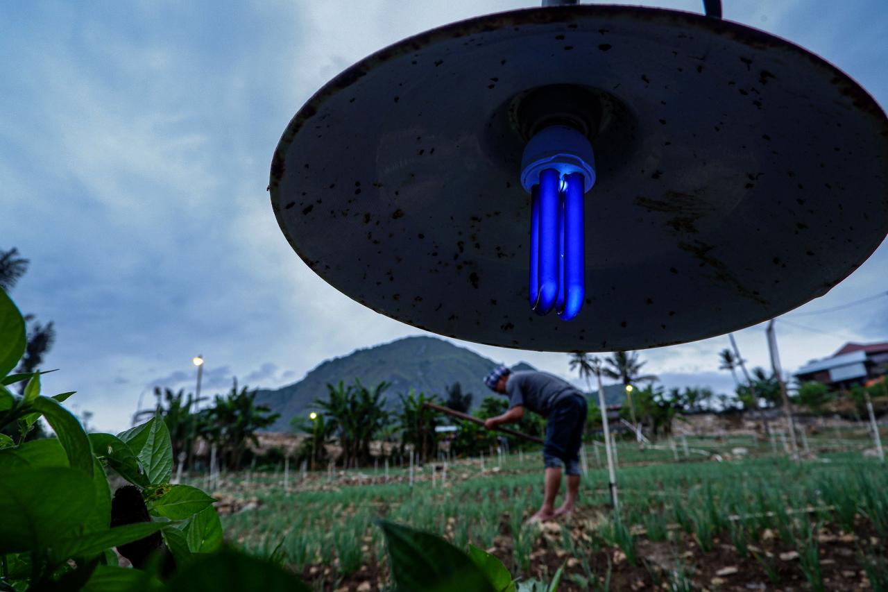 Electrifying Agriculture,...