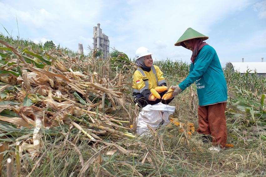 361 Petani Sanggem Garap...