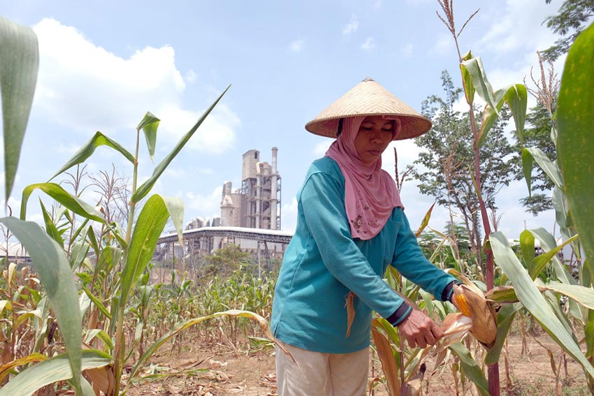 361 Petani Sanggem Garap...