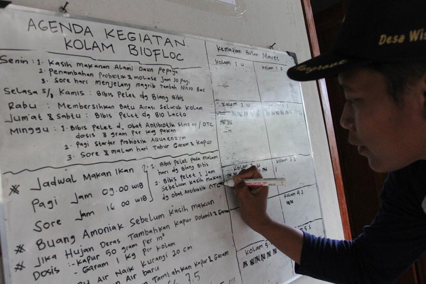 Yayasan KEHATI Berdayakan...