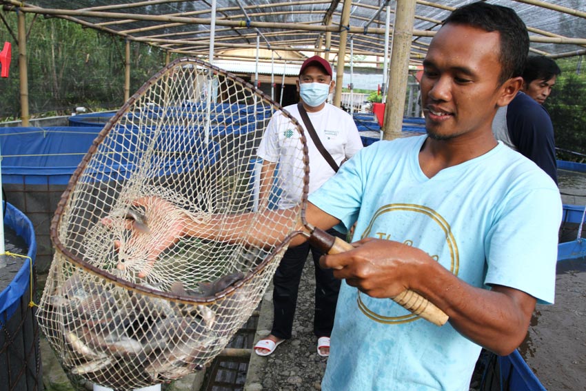 Yayasan KEHATI Berdayakan...