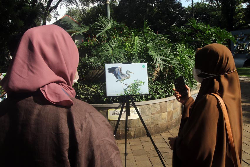 Biodiversity Warriors...