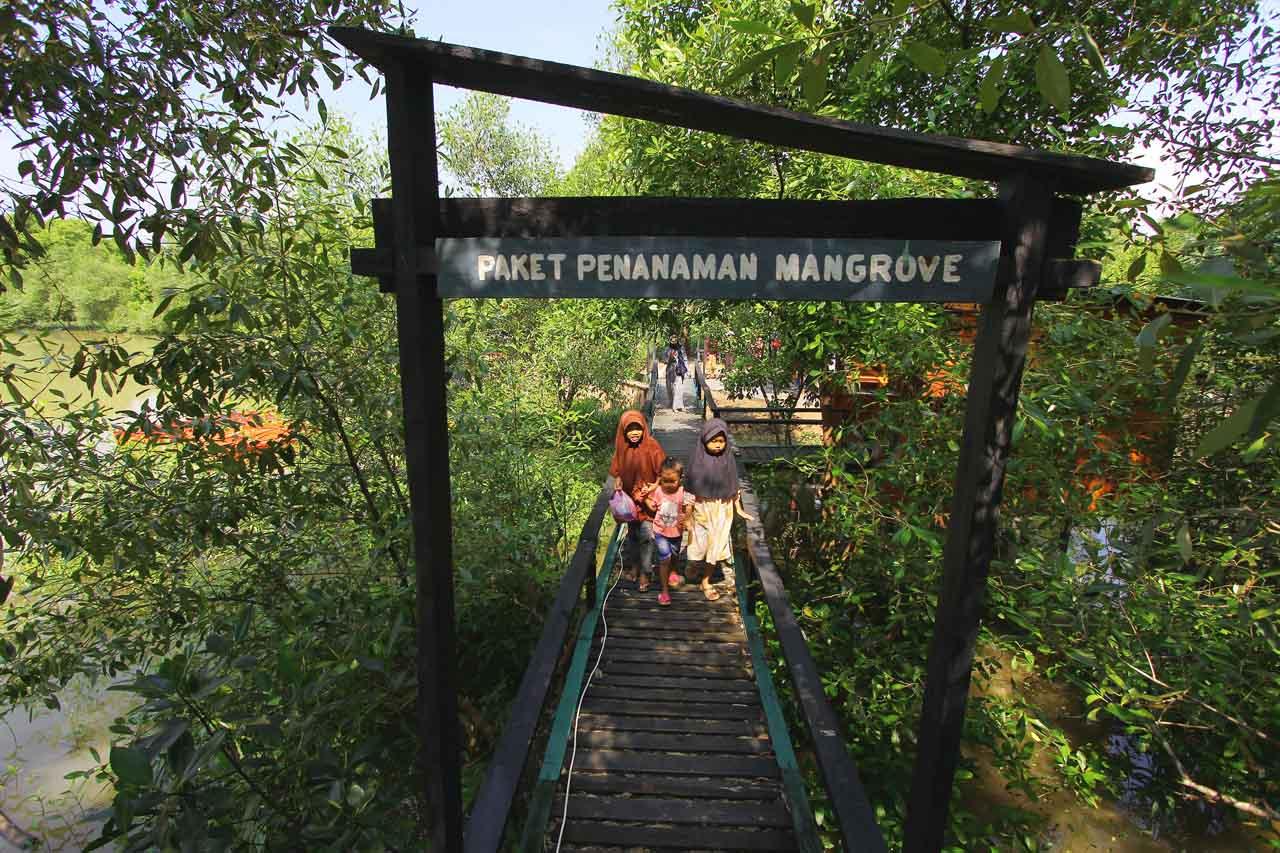Edu-ekowisata Mangrove...