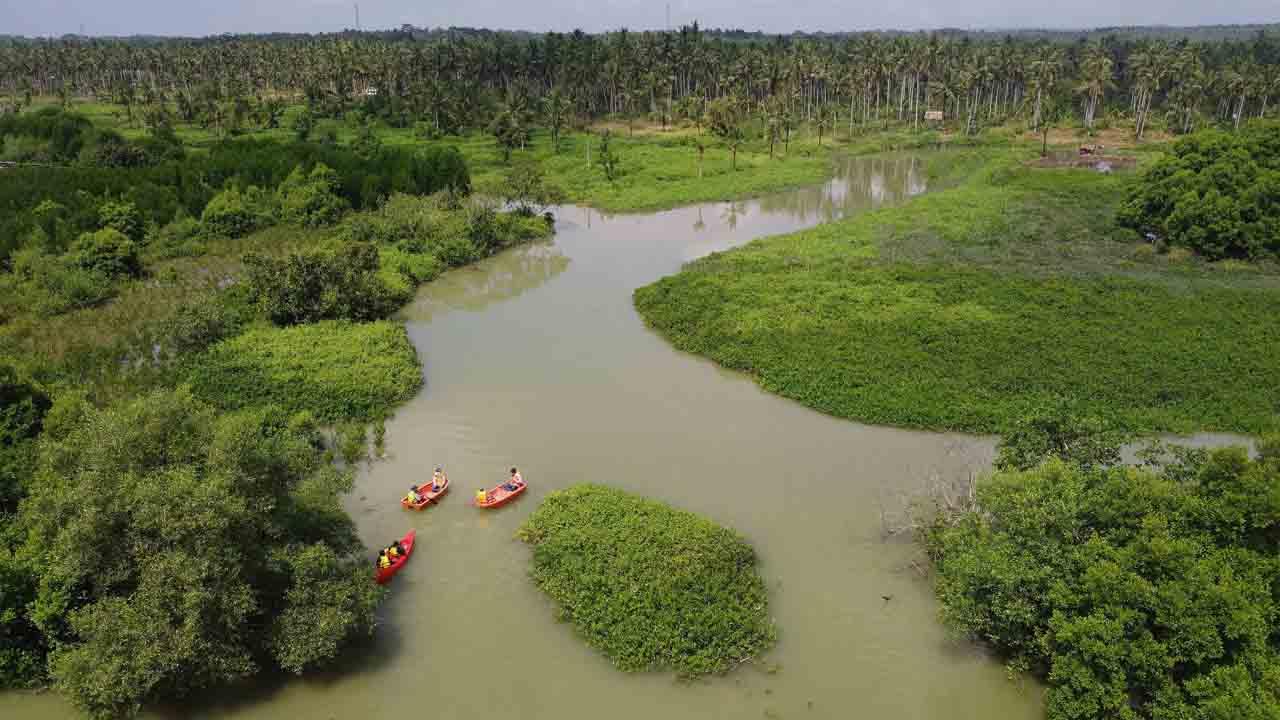 Edu-ekowisata Mangrove...
