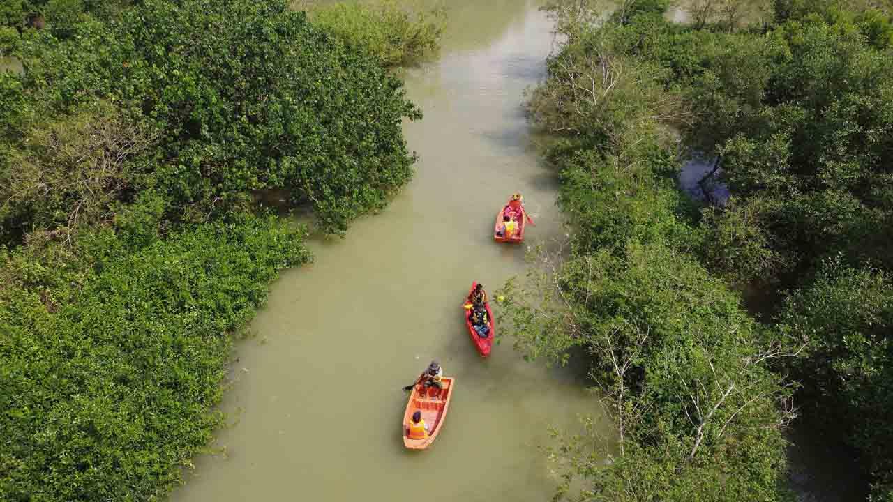 Edu-ekowisata Mangrove...