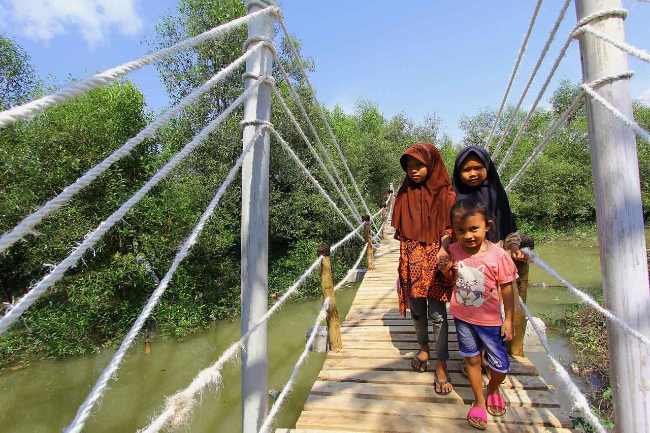 Edu-ekowisata Mangrove...