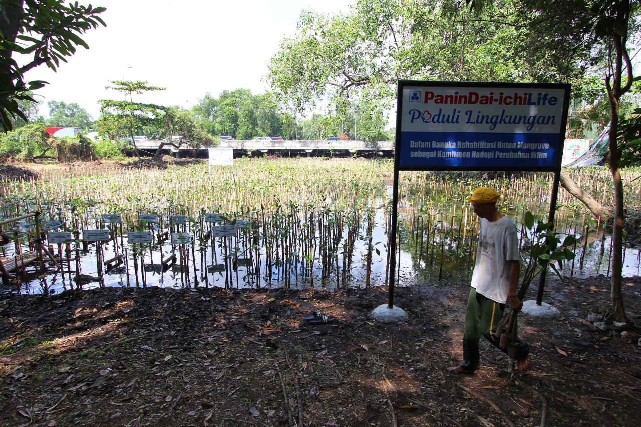 Penanaman 1.000 Pohon...