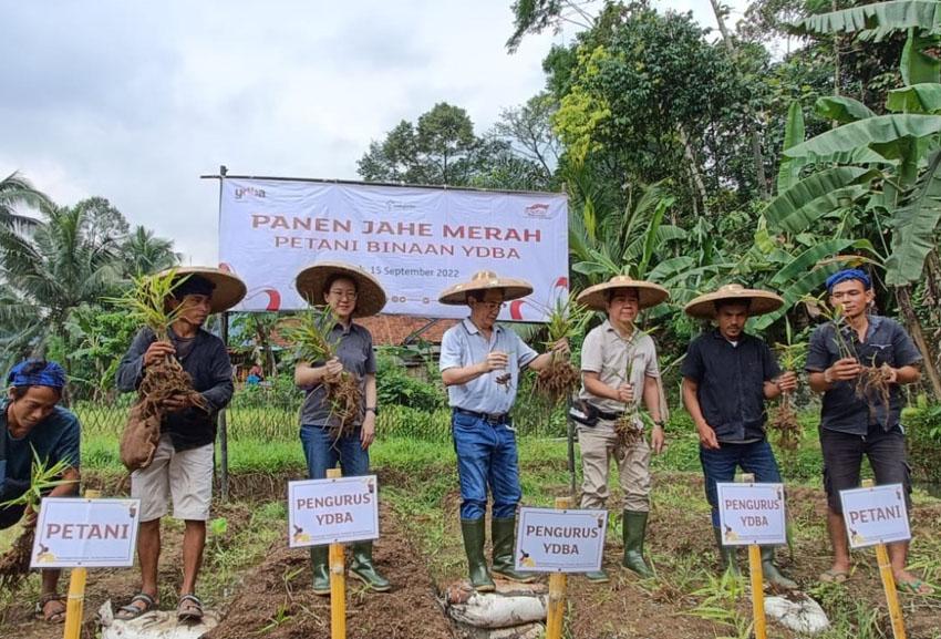 Petani Jahe Merah Binaan...