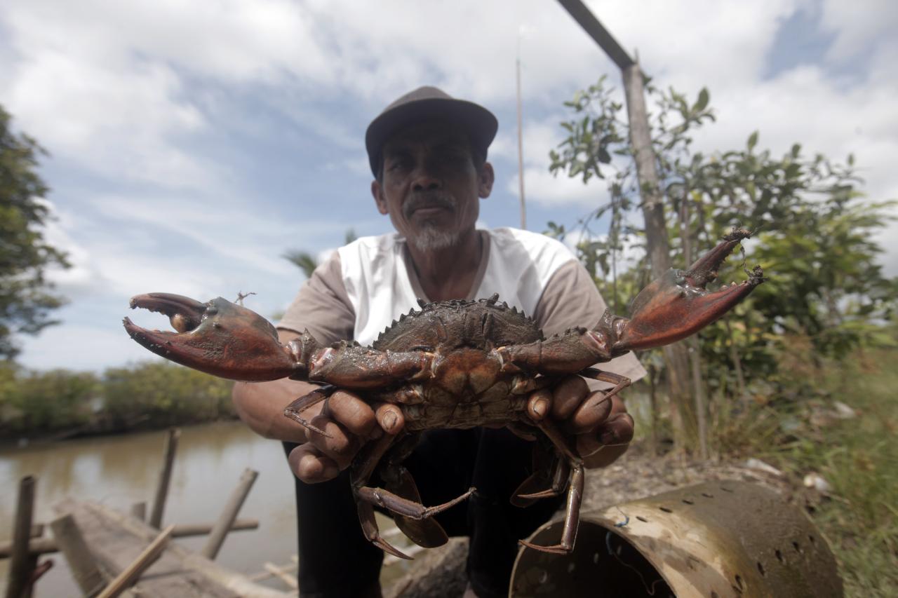 Pelita di Pelosok Negeri,...
