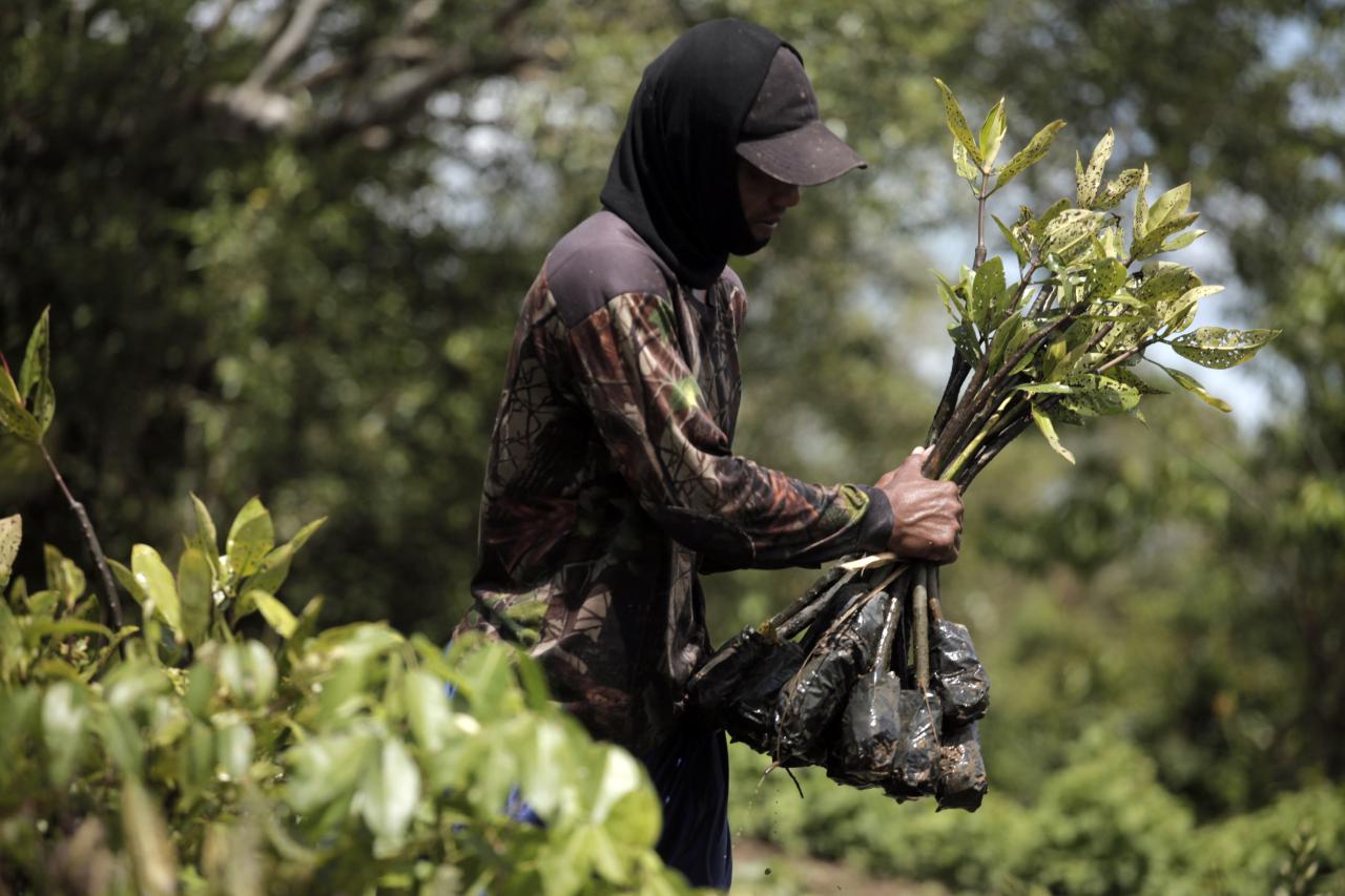 Menjaga Alam di Segara...