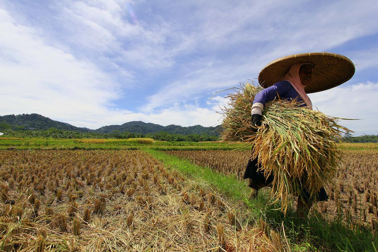 Jaga Stabilitas Harga,...