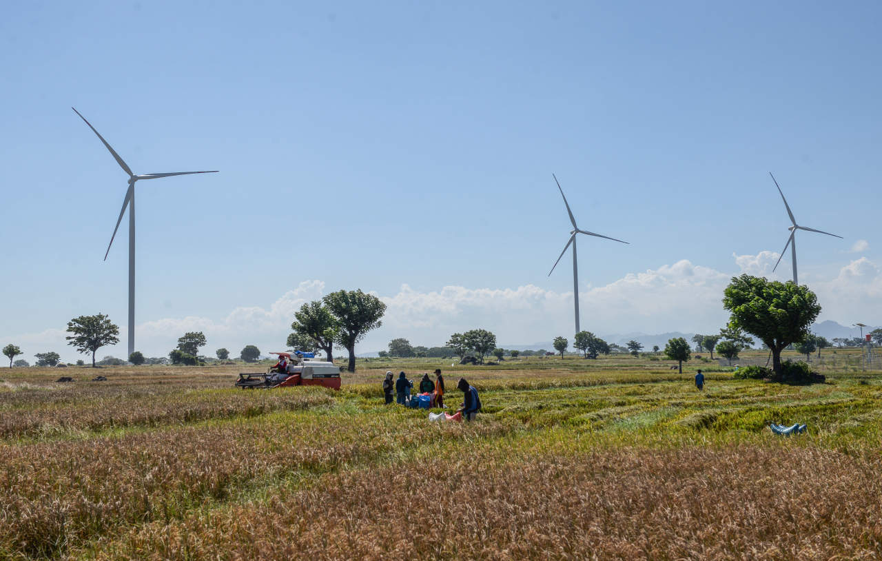 Panen Raya di Jeneponto
