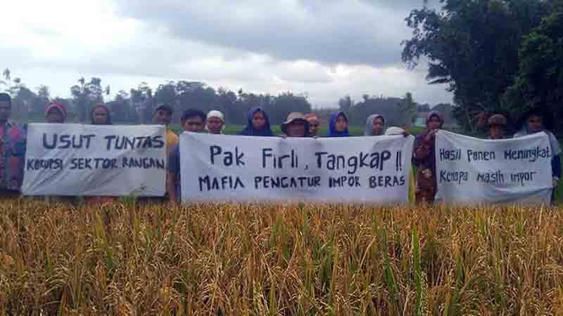 Kecewa dengan Impor...