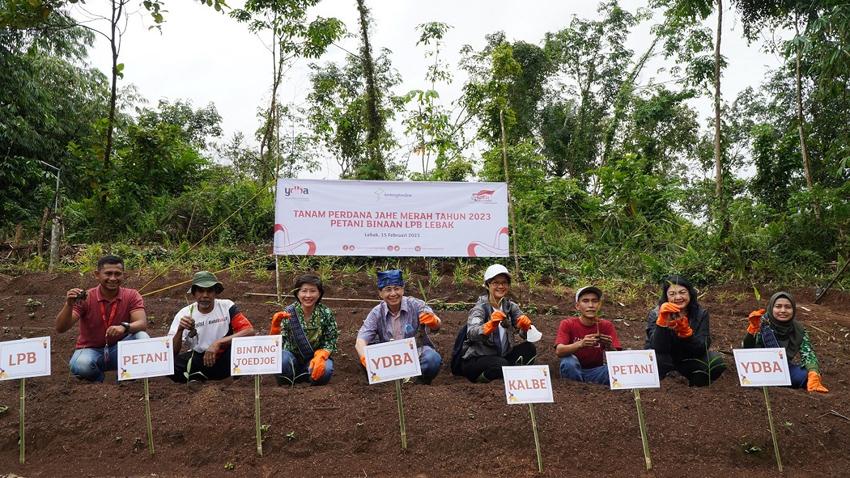 YDBA dan Bintang Toedjoe...