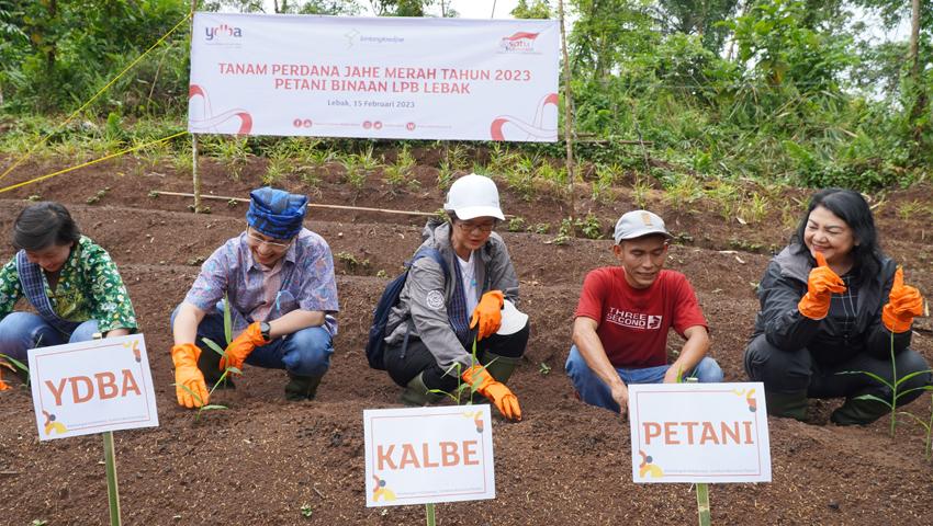 YDBA dan Bintang Toedjoe...