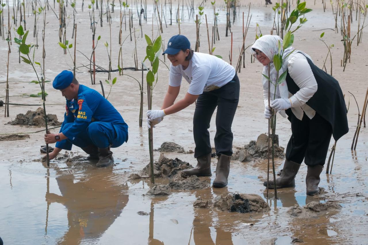 Mangrove Jadi Strategi...