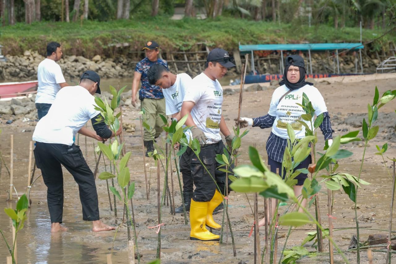 Mangrove Jadi Strategi...