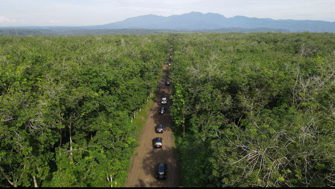 Ketum PSBI Effendi Simbolon...