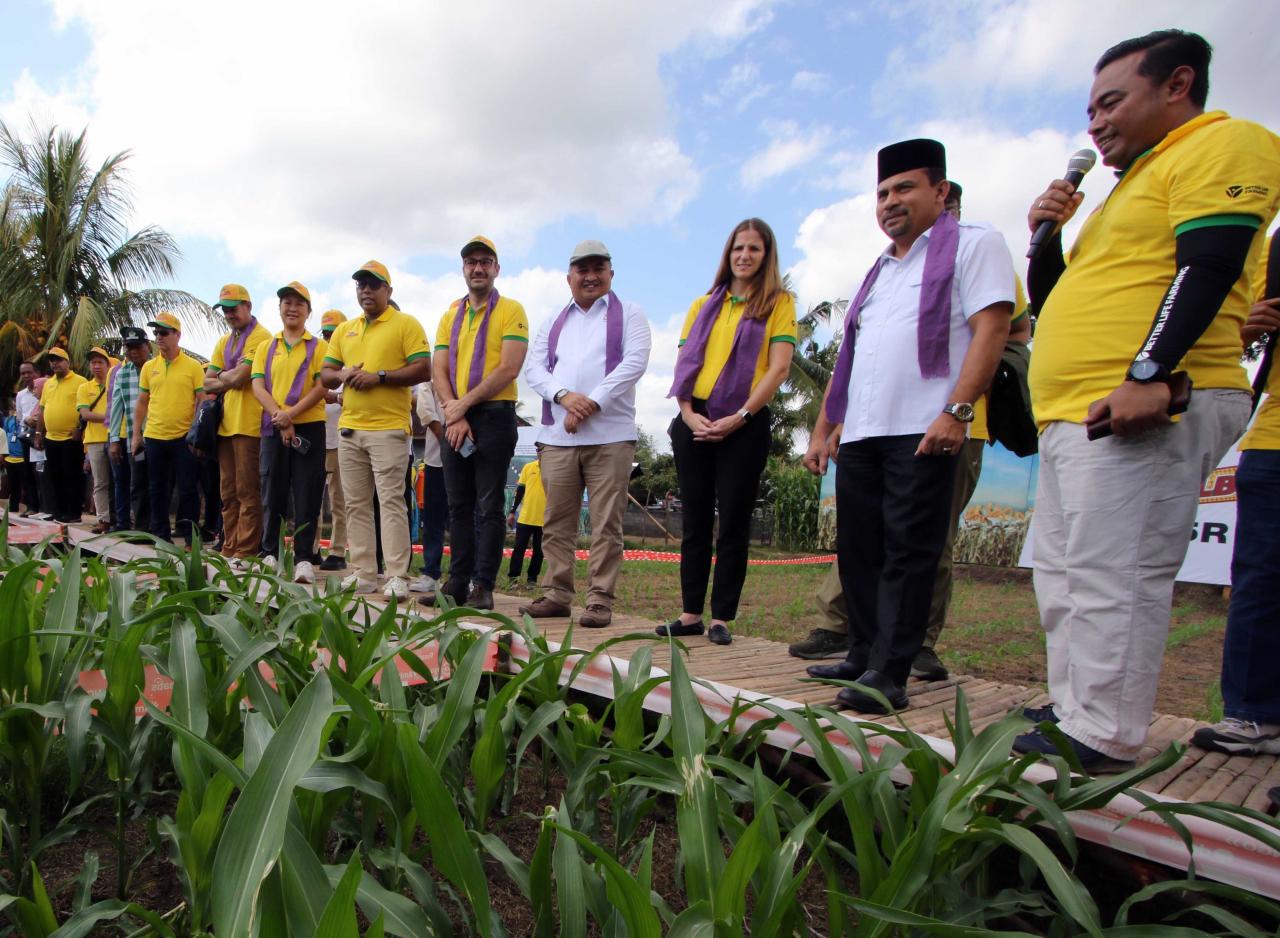 Petani NTB Panen Perdana...