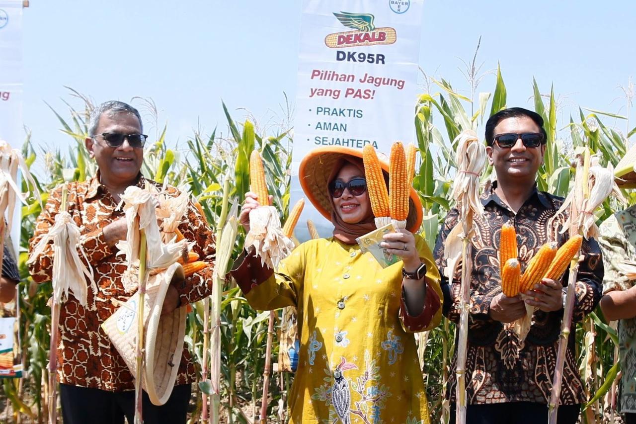 Peluncuran Pusat Riset...