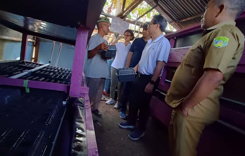 YDBA Kembangkan Komoditas...