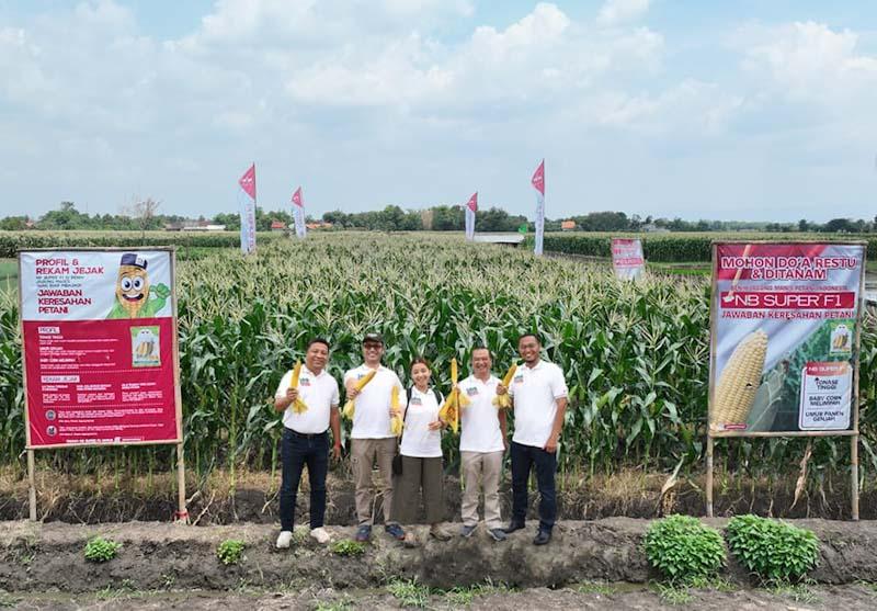 Jawaban Keresahan Petani,...