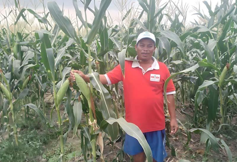 Jawaban Keresahan Petani,...