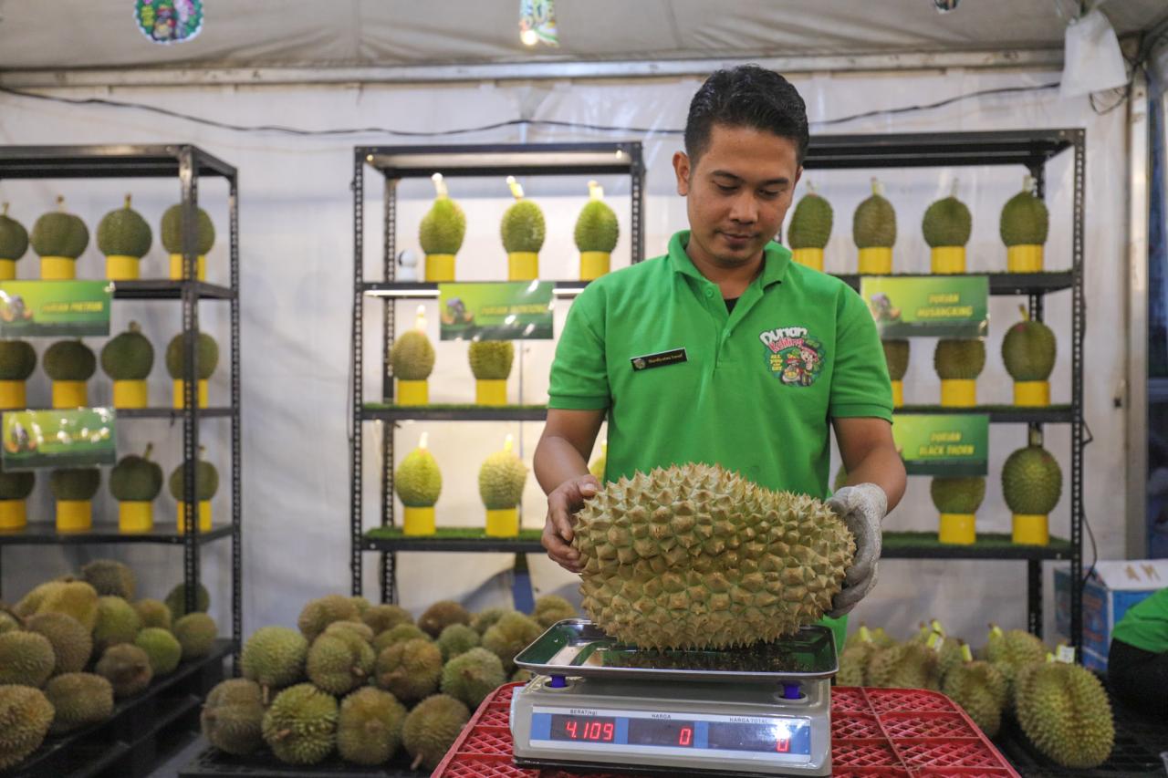 Sensasi Makan Durian...