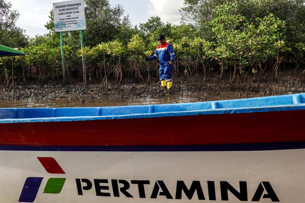 Melihat Konservasi Mangrove...